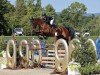 jumper Bonne Amie (Oldenburg, 2013, from Ad A Big Boy)