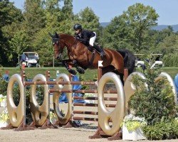 jumper Bonne Amie (Oldenburg, 2013, from Ad A Big Boy)