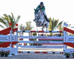 jumper Casino Calvin (Oldenburg show jumper, 2013, from Casino Berlin OLD)