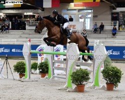 jumper Idylle Chavannaise (Belgium Sporthorse, 2014, from Peppermill)