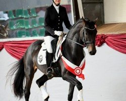 dressage horse Fidona (Westphalian, 2020, from Fürstenball)