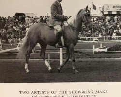 Zuchtstute Criban Fiesta (British Riding Pony, 1954, von Bwlch Valentino)