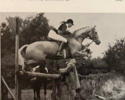 horse Catherston Moonstone (British Riding Pony,  , from Bubbly)