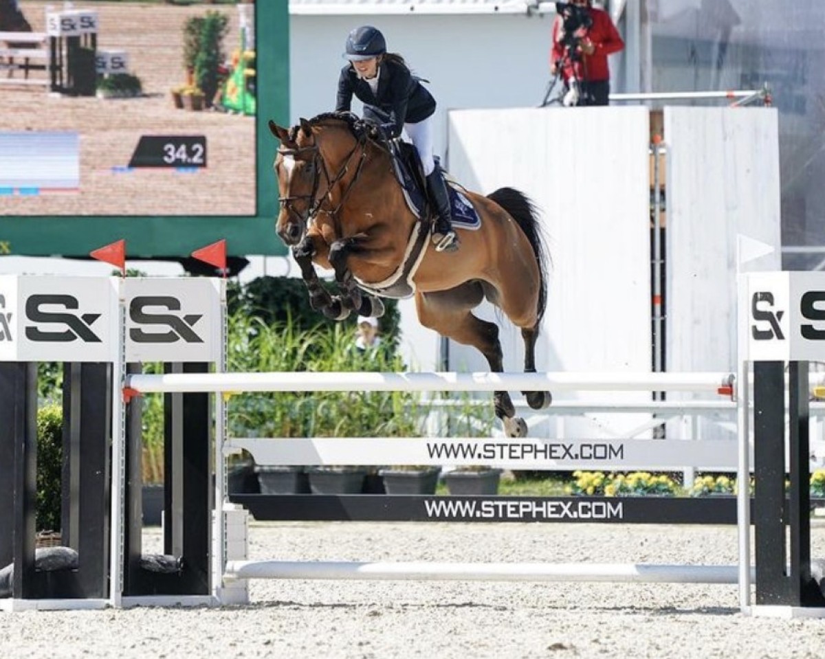 jumper Catwoman PL (Oldenburg show jumper, 2012, from Conthargos)
