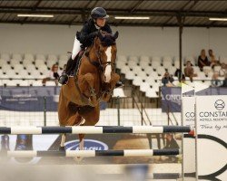 jumper Miss Lana Dl (KWPN (Royal Dutch Sporthorse), 2017, from Scuderia 1918 Casago)