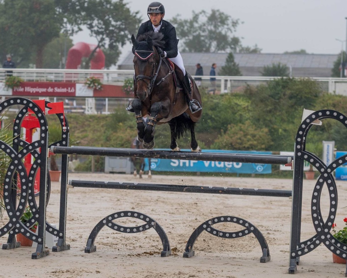 jumper Tino des Fusains (Luxembourg horse, 2008, from Beaulieu's Think Big)