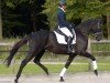 dressage horse Königstaler (Trakehner, 2019, from E.H. Millennium)