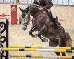 jumper Ceraldik (Mecklenburg, 2020, from Cellestial)