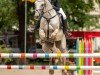 jumper Cash 171 (German Sport Horse, 2008, from Ciacomini)