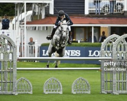 jumper Haya (KWPN (Royal Dutch Sporthorse), 2012, from Mylord Carthago)