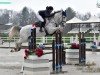 broodmare Zara White (Hanoverian, 2017, from Zirocco Blue)