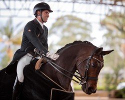 broodmare Fair Lady (Hanoverian, 2014, from Franziskus FRH)