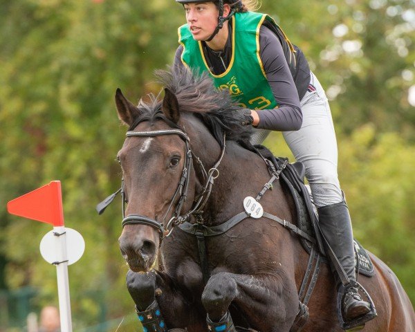 jumper Cassandra Ter Meer (Oldenburg show jumper, 2016, from Casalido)