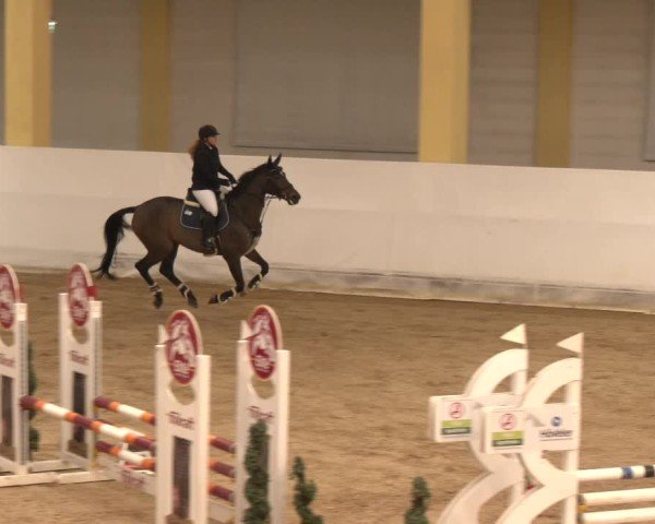 Reitturnier Stadl-Paura 2024