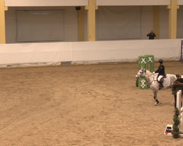 Reitturnier Stadl-Paura 2024