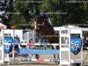 jumper Cella 18 (Oldenburg show jumper, 2017, from Casiro I)