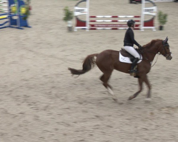 Reitturnier Heek-Nienborg 2024