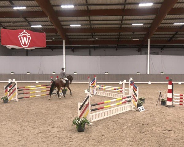 Reitturnier Münster-Handorf 2024