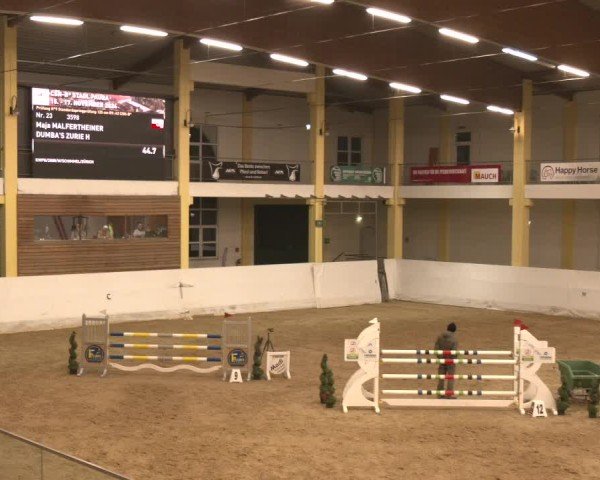 Reitturnier Stadl-Paura 2024