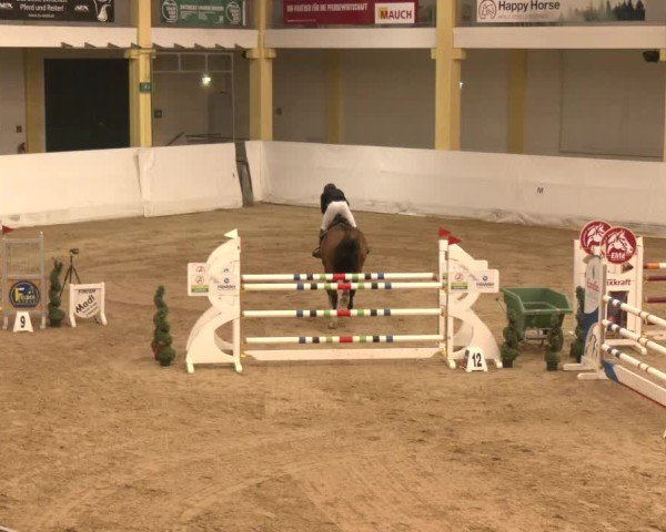 Reitturnier Stadl-Paura 2024