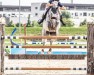 jumper Canaletto B & S (Hungarian Warmblood, 2016, from Cornet Obolensky)