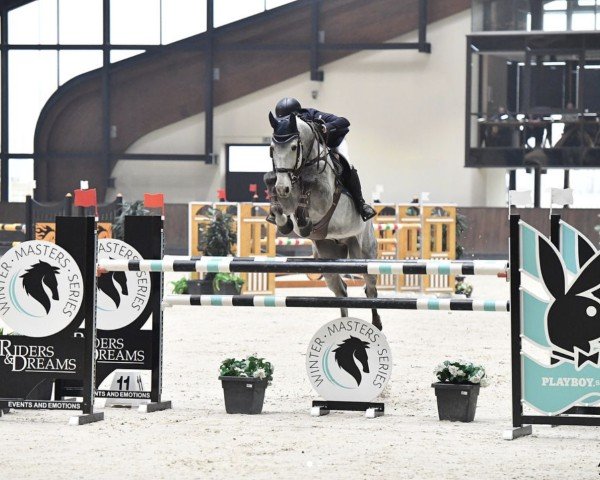 jumper Chaceland (Hanoverian, 2011, from Chacco-Blue)