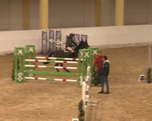 Reitturnier Stadl-Paura 2024