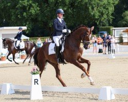 dressage horse Thiago's Juwel (Hanoverian, 2020, from Thiago GS OLD)