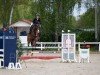 jumper Only Magic 3 (Hanoverian, 2018, from Ogano)