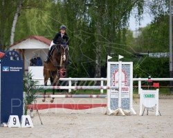 jumper Only Magic 3 (Hanoverian, 2018, from Ogano)