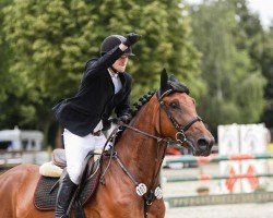 jumper Habanero 39 (anglo european sporthorse, 2017, from D&j Havanna)