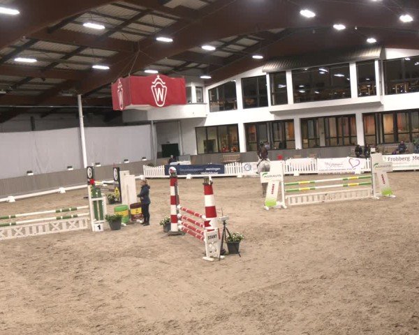 Reitturnier Münster-Handorf 2024