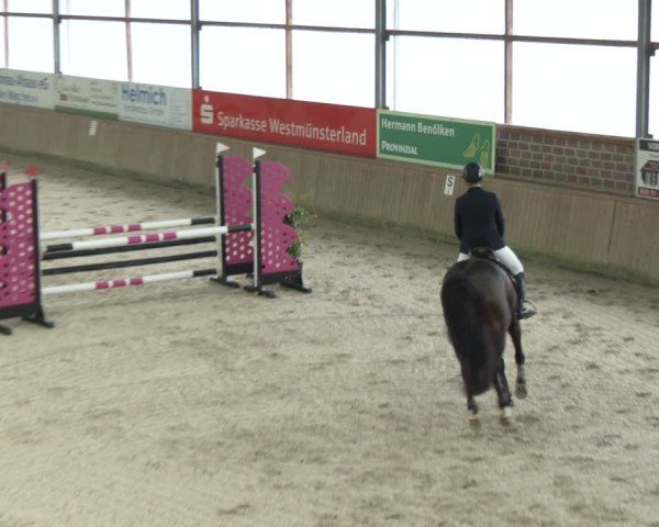 Reitturnier Heek-Nienborg 2024
