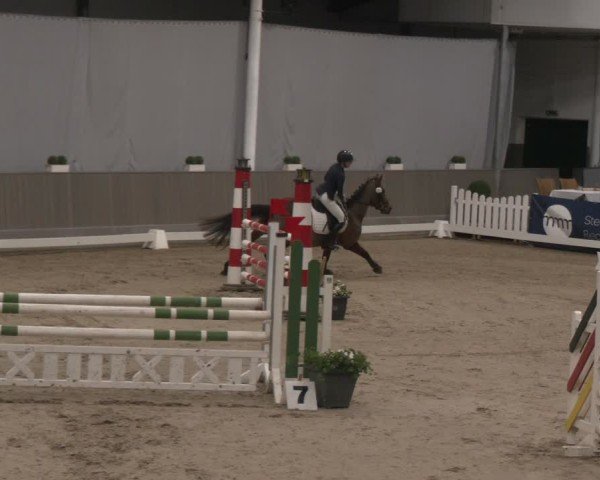 Reitturnier Münster-Handorf 2024