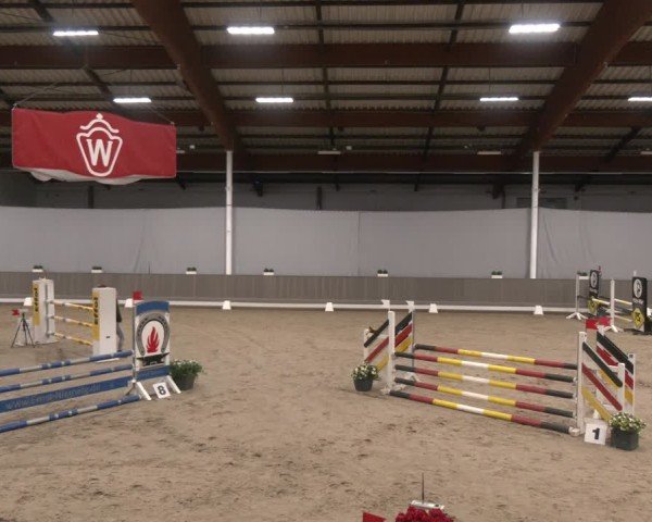 Reitturnier Münster-Handorf 2024