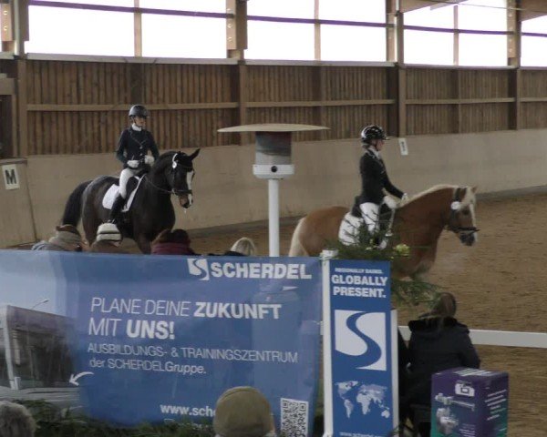 Reitturnier Marktredwitz-Haag/Ofr. 2024