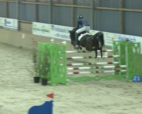 Reitturnier Heek-Nienborg 2024