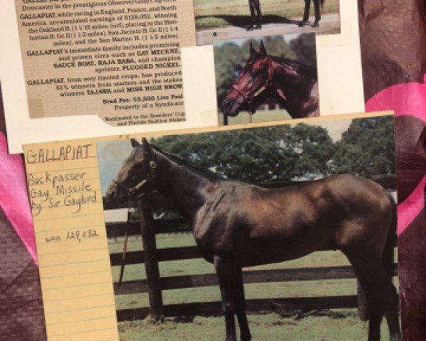 horse Gallapiat xx (Thoroughbred, 1973, from Buckpasser xx)