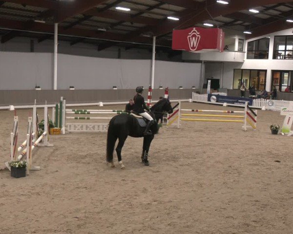 Reitturnier Münster-Handorf 2024