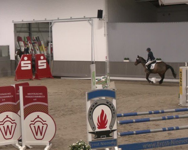Reitturnier Münster-Handorf 2024