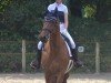 dressage horse Pionier 40 (Polish Warmblood, 2009, from Wizjoner)