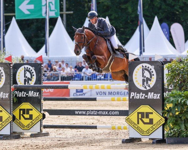 jumper FBW Eddie The Eagle Bld (German Sport Horse, 2019, from Emerald van 't Ruytershof)