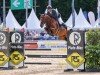 jumper FBW Eddie The Eagle Bld (German Sport Horse, 2019, from Emerald van 't Ruytershof)