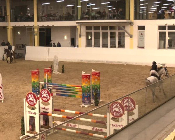 Reitturnier Stadl-Paura 2024