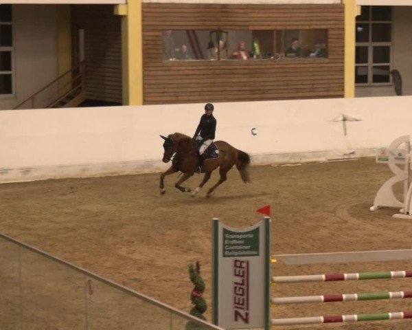 Reitturnier Stadl-Paura 2024