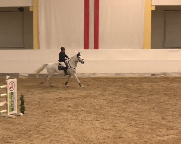 Reitturnier Stadl-Paura 2024