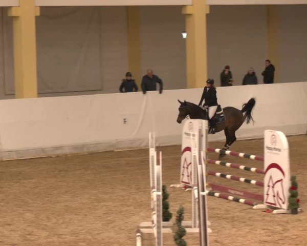 Reitturnier Stadl-Paura 2024