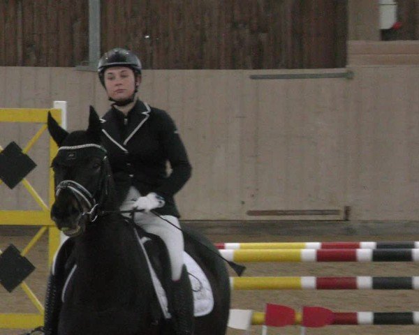 Reitturnier Marktredwitz-Haag/Ofr. 2024