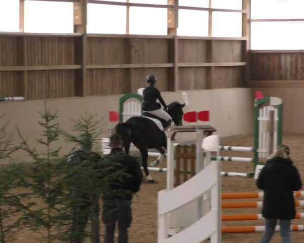 Reitturnier Marktredwitz-Haag/Ofr. 2024