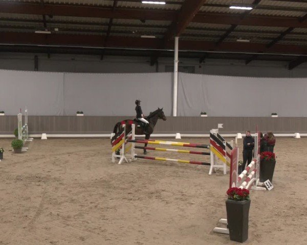 Reitturnier Münster-Handorf 2024